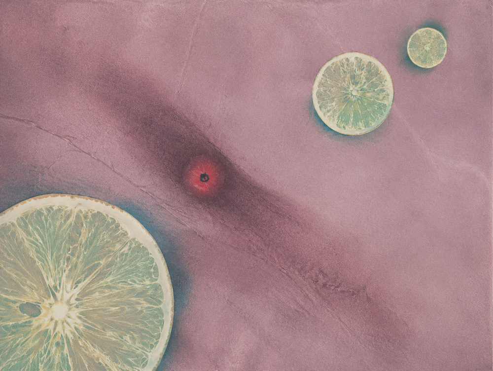 citrus mauve: lemon lime slices, dusty mauve pink, faded photographic style, sage green accent