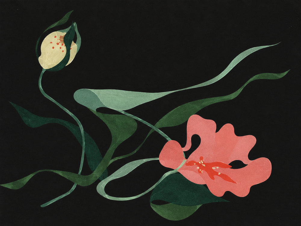 dark blooms: dark moody floral, coral pink and cream blooms on black, modern cut paper