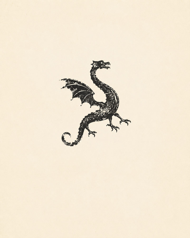 dragon: antique ink engraving, mythical serpent illustration, dark academia folklore