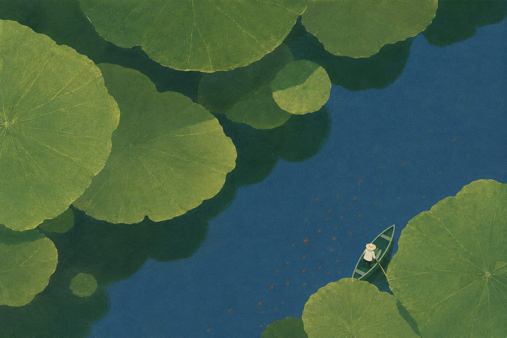 lily boat: aerial lily pad, sampan boat, east asian water landscape