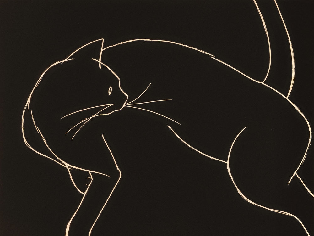 line cat: minimalist cat line drawing, white line on black, cat glancing over its shoulder