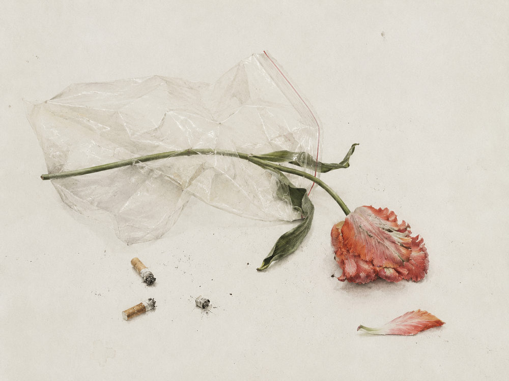 melancholic still life: melancholic still life, faded coral flower, moody vanitas bedroom
