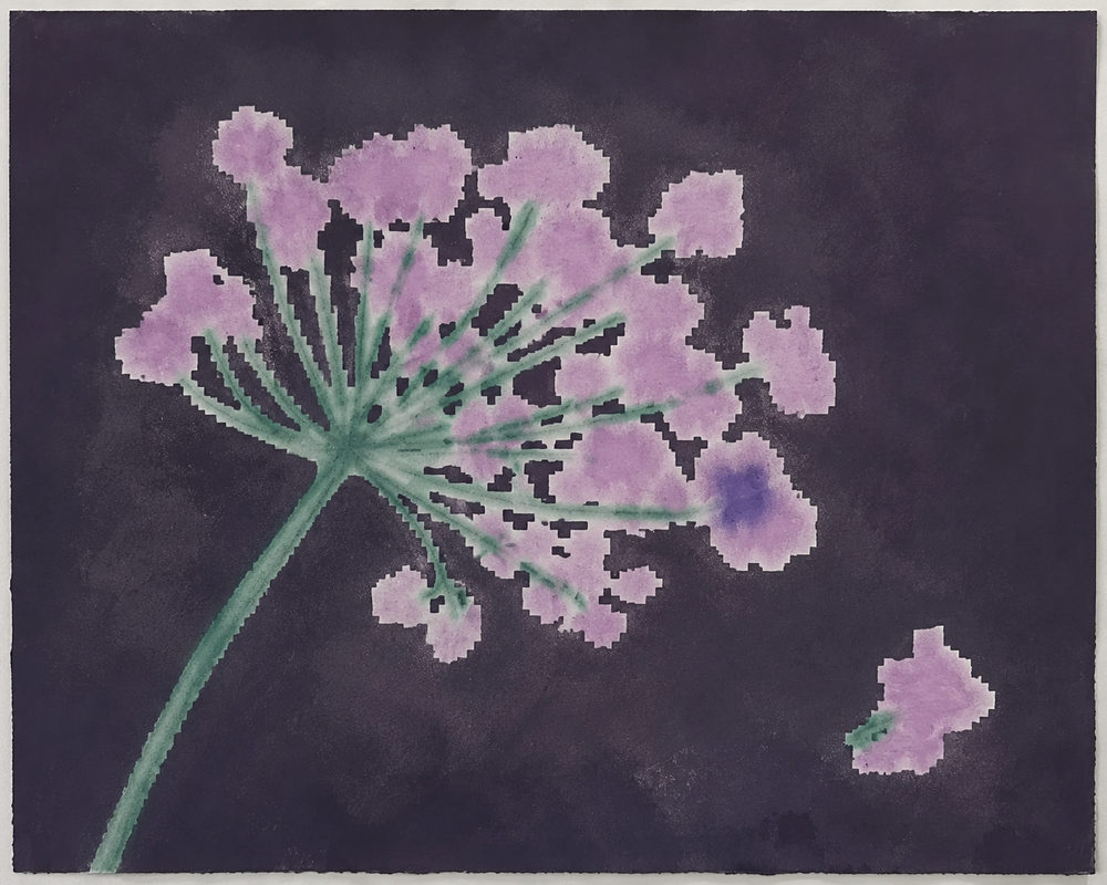 moody floral: purple allium, dark watercolor, romantic bedroom