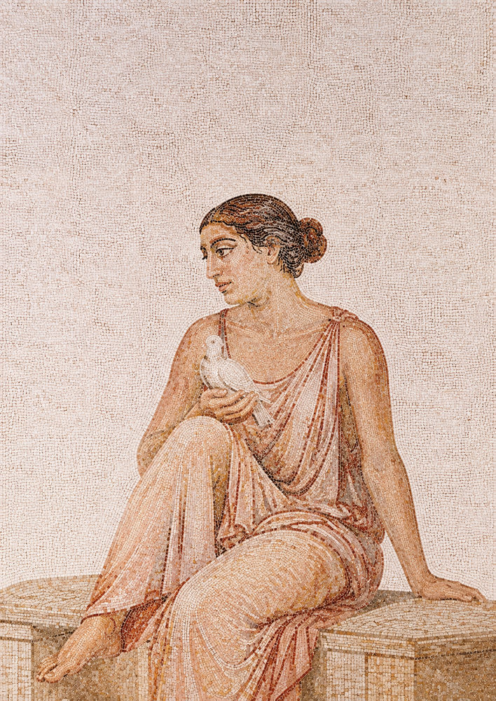 mosaic woman: classical, terracotta ochre dove, ancient greek figure living room