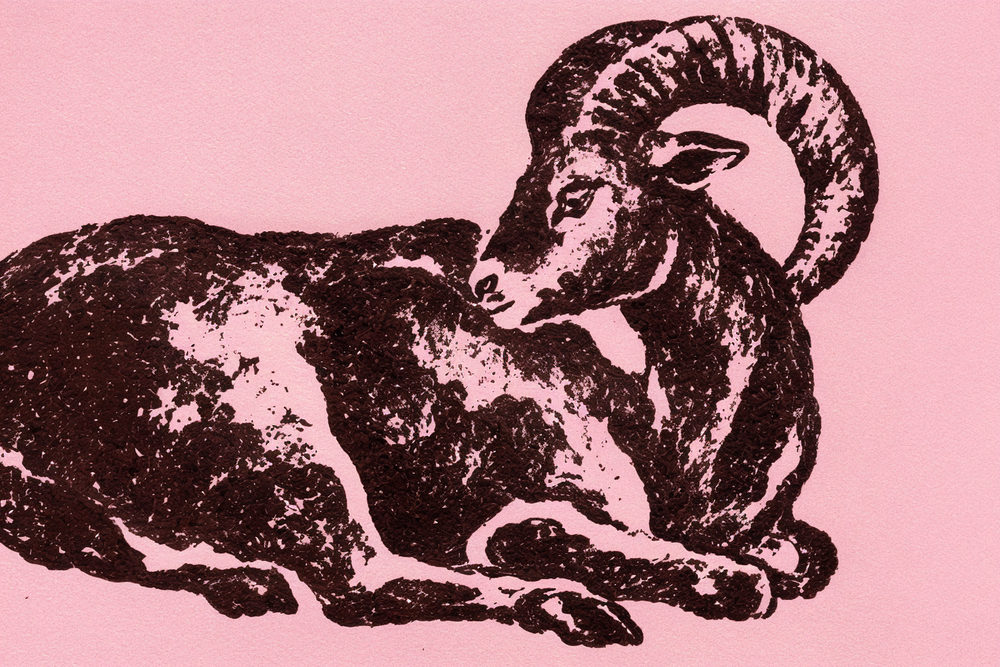 pink ram: bighorn sheep, black ink stencil animal on bubblegum pink, screenprint style two tone folk