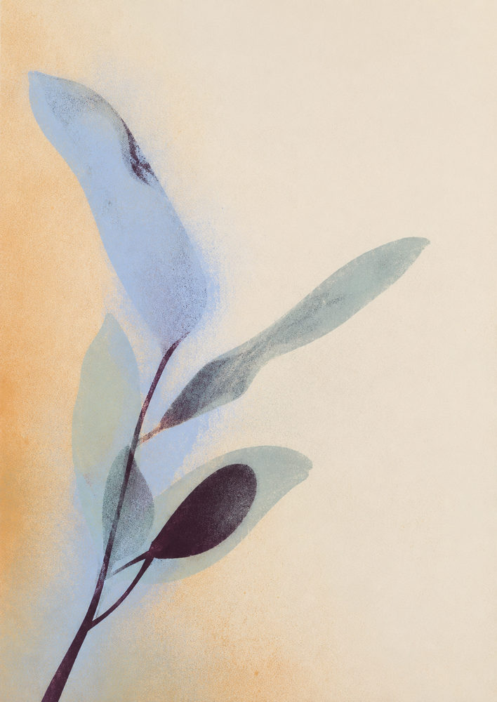 soft botanical: powder blue sage, airy watercolor, soft minimal bedroom