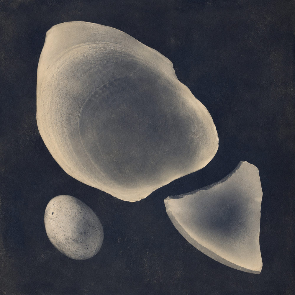stone forms: minimalist cyanotype, moody navy blue, coastal bedroom