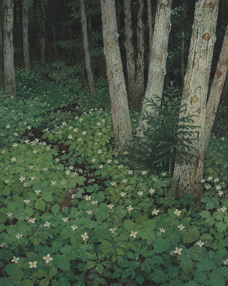 trillium marten: pine marten forest, nihonga style botanical, deep green and white