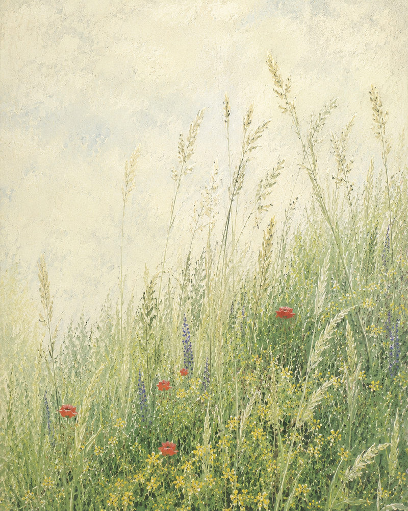 wildflower meadow: soft painterly, red poppy & grasses, calm cottagecore bedroom