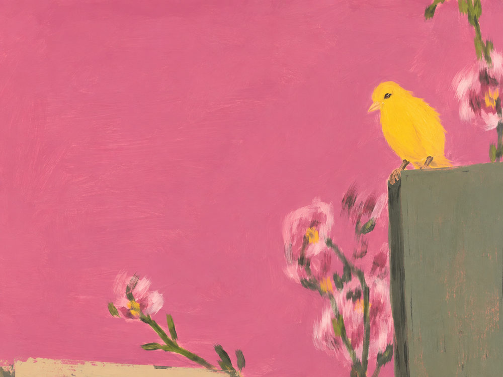 yellow finch: yellow bird, hot pink and sage green, contemporary folk blossom