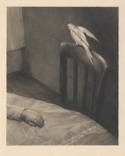 bird vigil