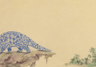 blue pangolin