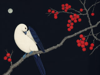 dove berries
