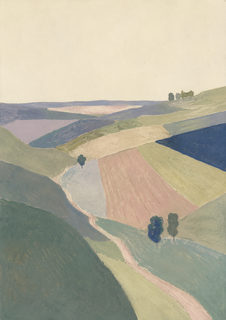 field mosaic