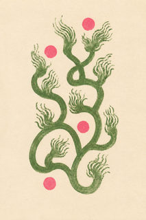 green vine