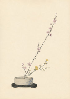 ikebana plum