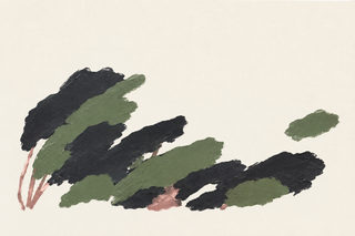 ink canopy