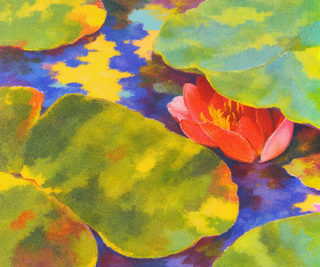 lily pads