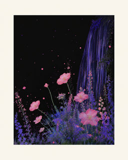 night poppies