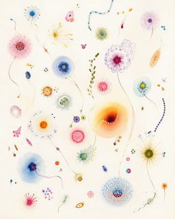organism field
