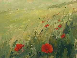 poppy meadow
