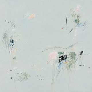 scribble field