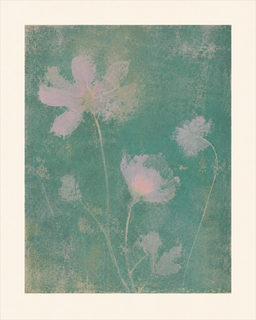 soft floral